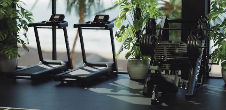 Esteiras e estação de força em sala fitness ampla com vegetação